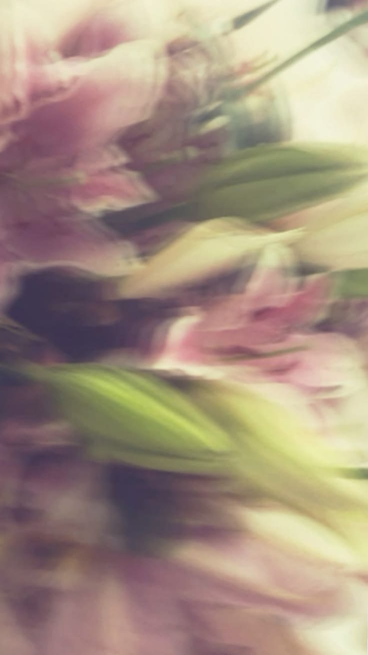 04ff35b26bd7ce8b5c1e34e9ef5851d2-1
