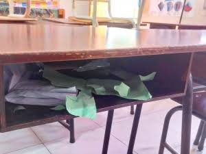 IMG_a4e31b8d-e229-4f3b-8a26-2a5a487c2e38-1