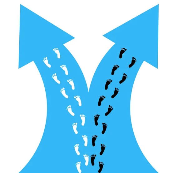 1000341512